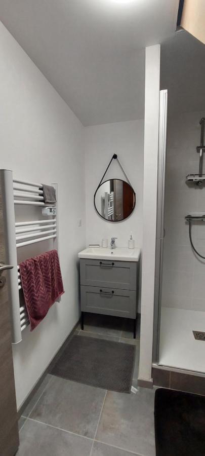 Studio Duplex A Савене Экстерьер фото